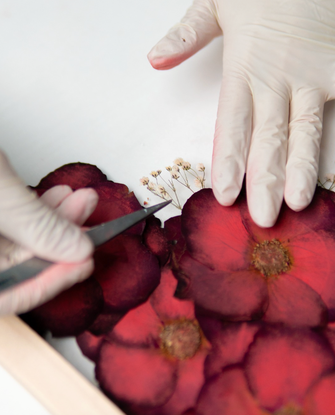 Hand arranging preserved red roses during the floral preservation process at Ever After Bloom UAE