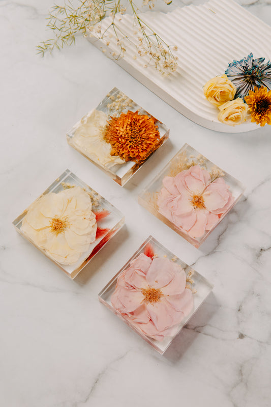 Coasters (Set of 4)